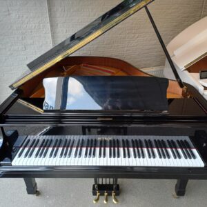 Petrof vleugel model P173