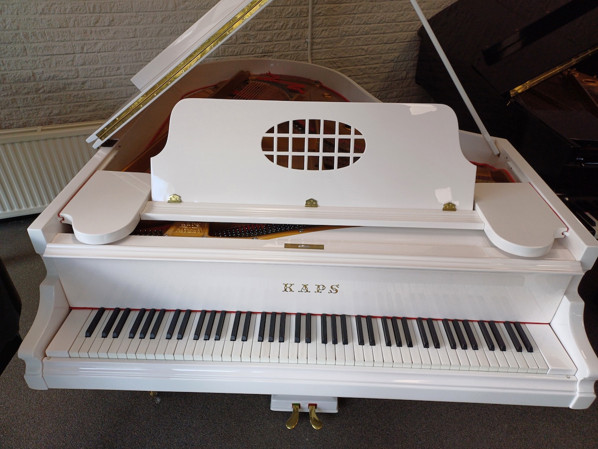 Kaps vleugel te koop