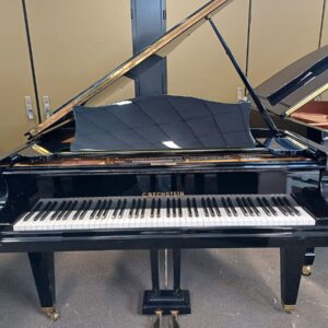 C. Bechstein vleugel model M