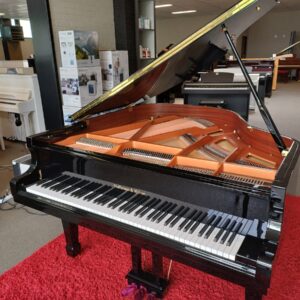 Hoffmann & Kühne vleugel