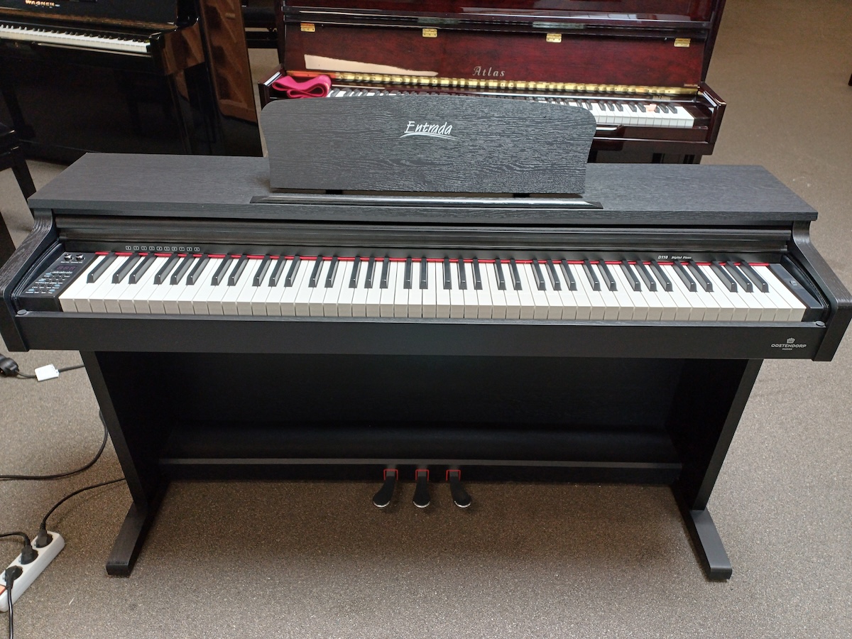 Entrada digitale piano, model D110