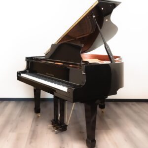 Hoffmann & Kühne vleugel