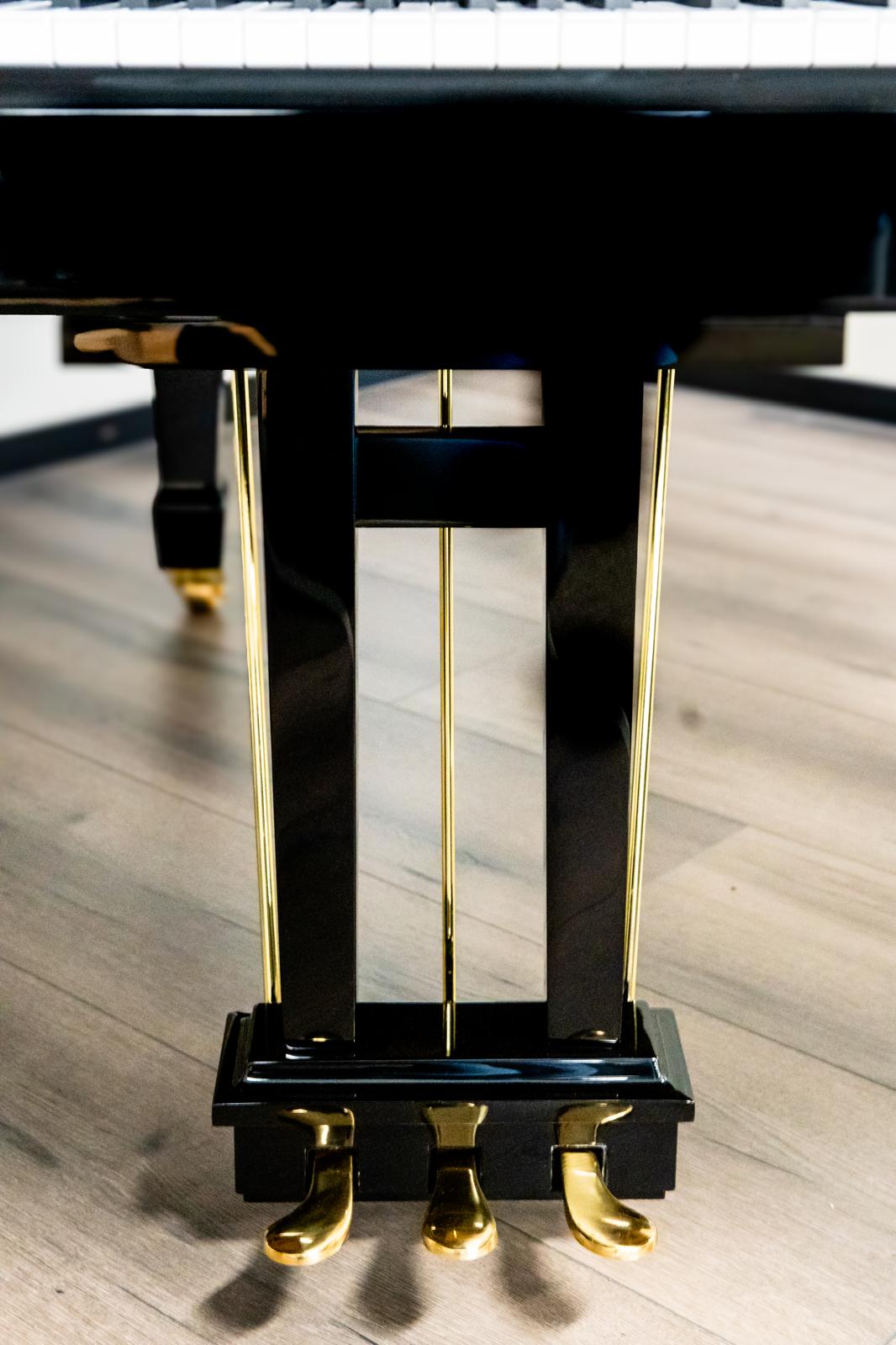 Hoffmann & Kühne vleugel - Afbeelding 7