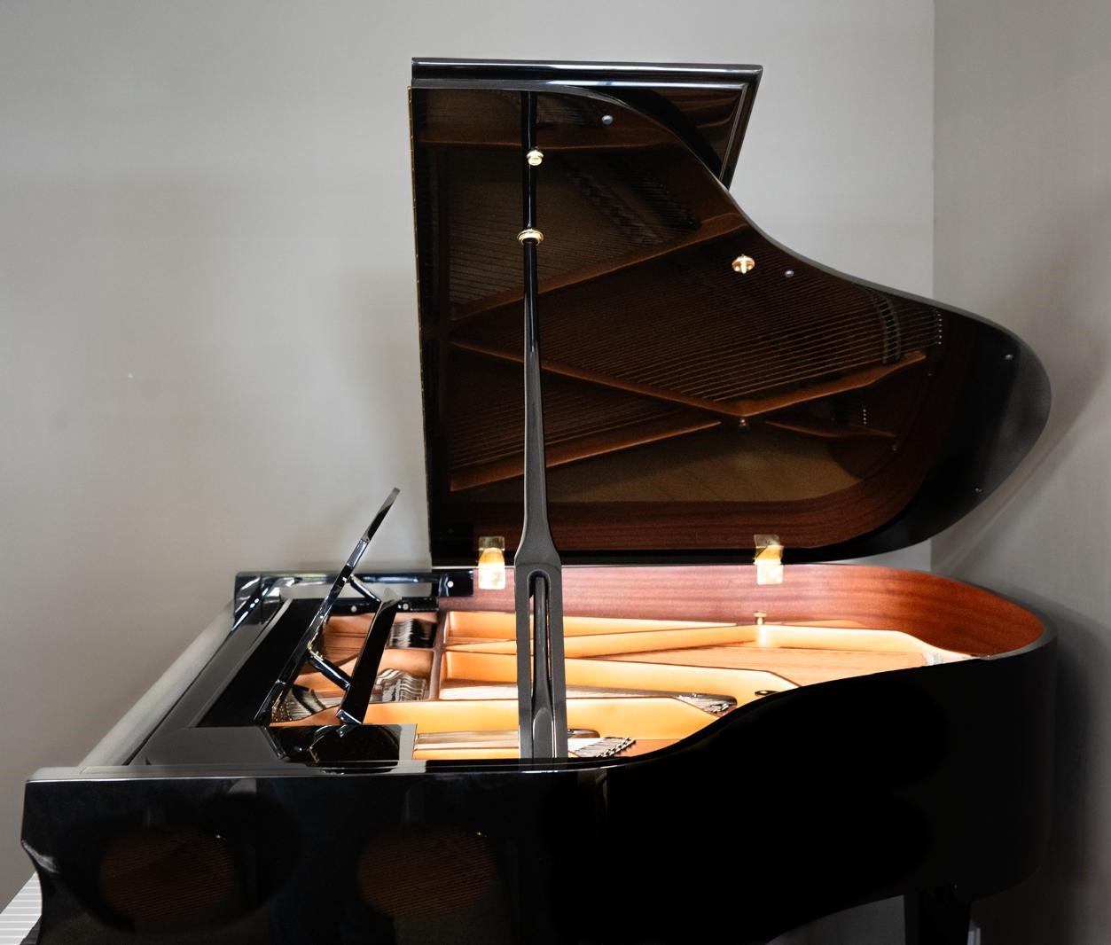 Hoffmann & Kühne vleugel - Afbeelding 2