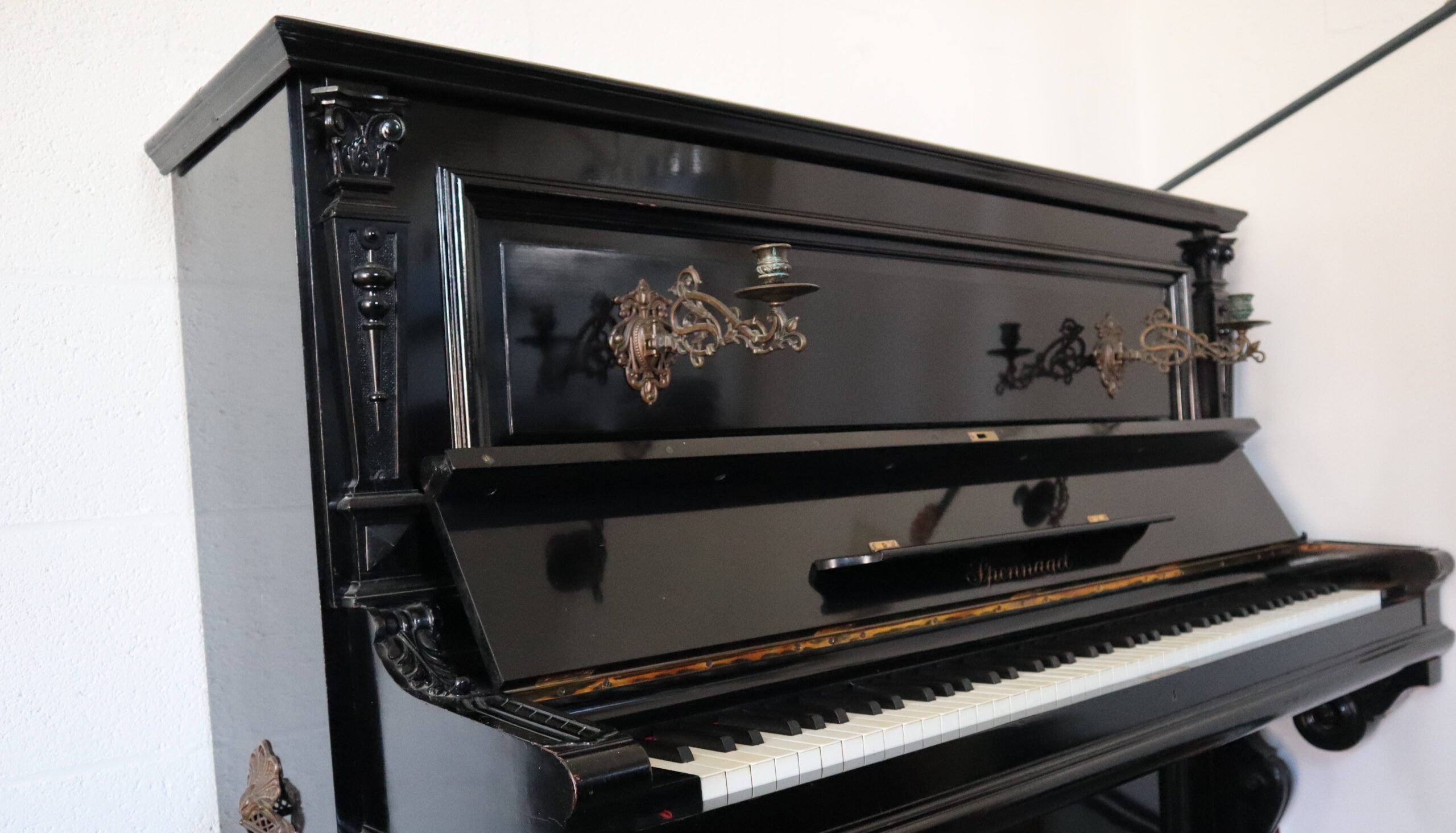 Sponnagel - Afbeelding 2