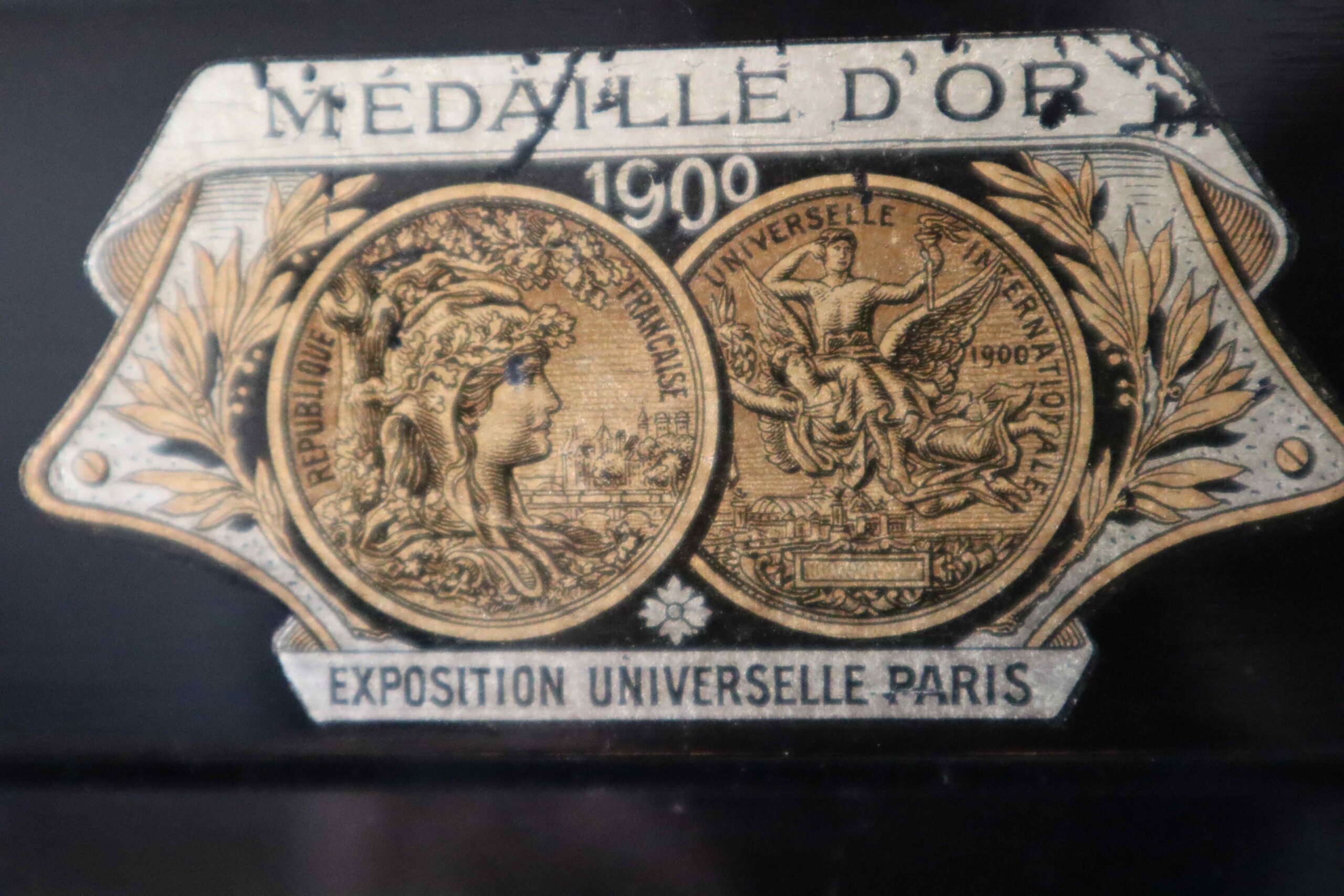 Sponnagel - Afbeelding 3