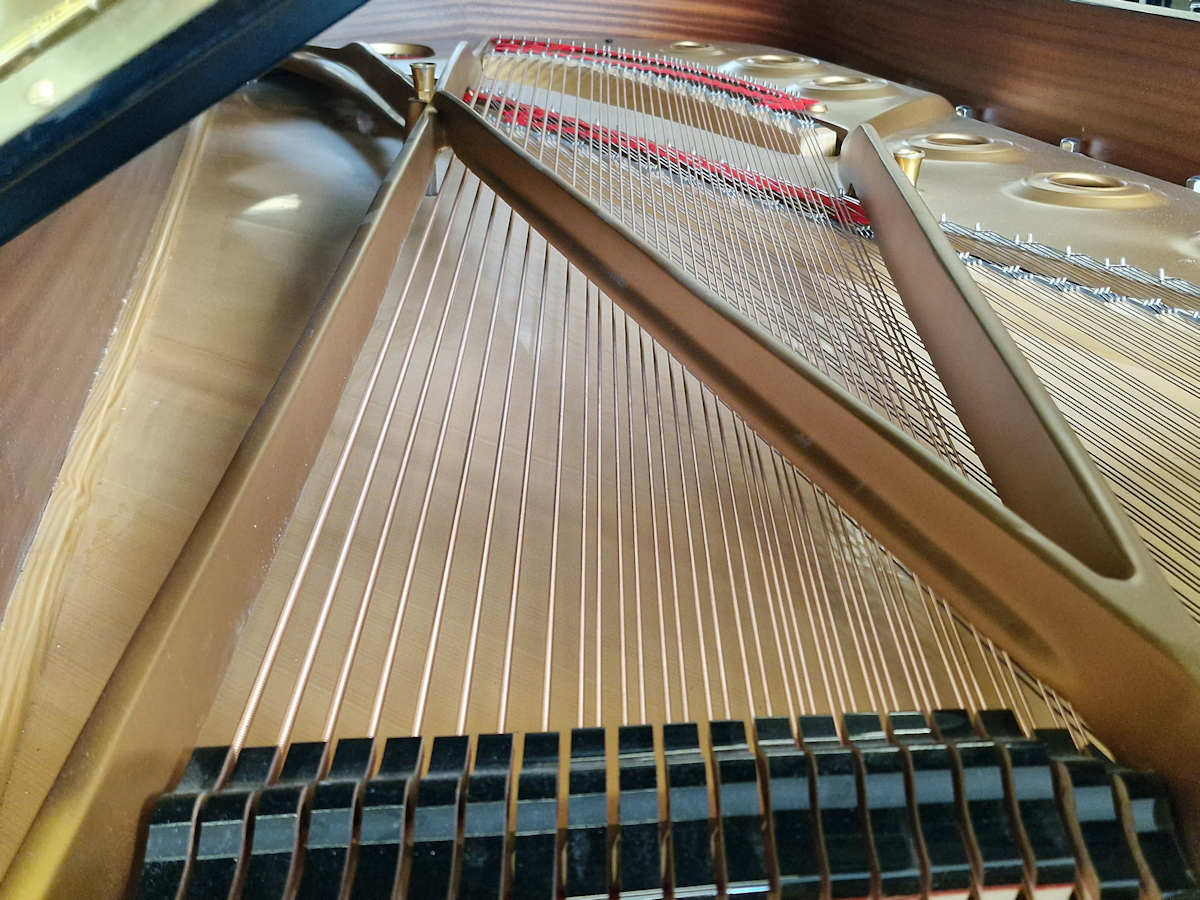 Steinway & Sons model D - Afbeelding 6
