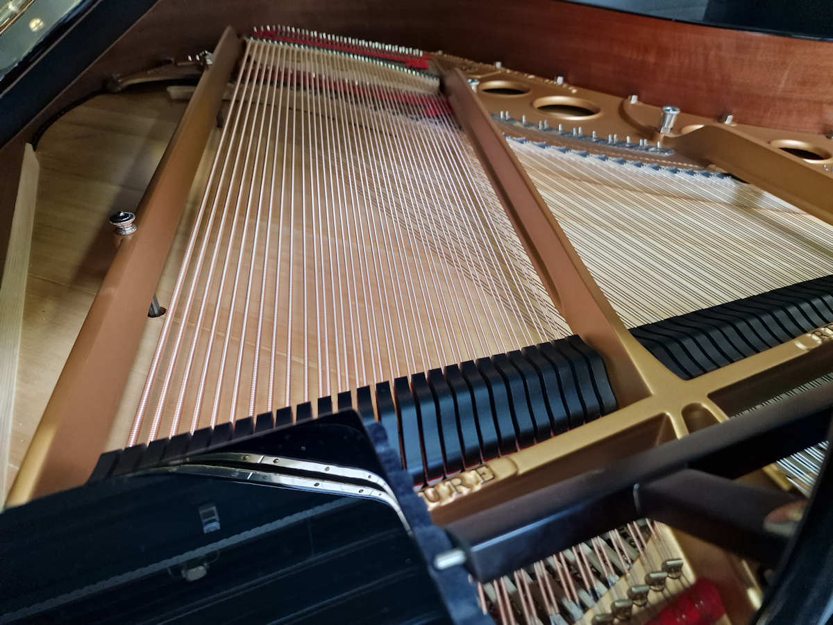 Steinway & Sons Model O – 180 cm - Afbeelding 6