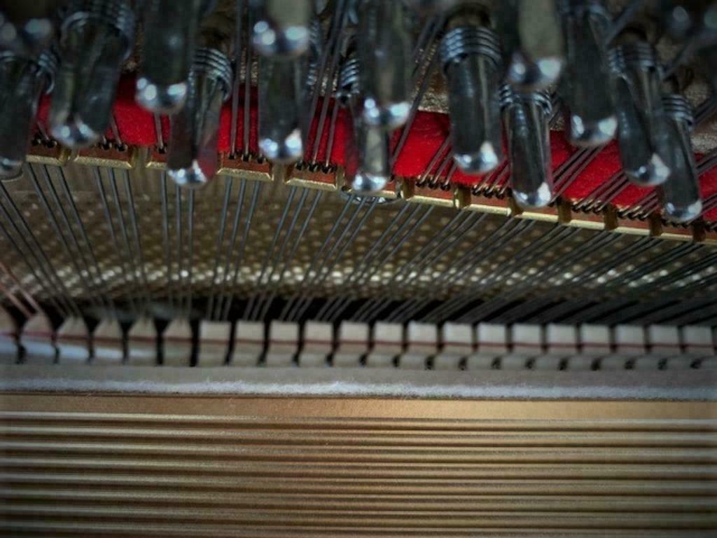 Petrof model P 125 G1 - Afbeelding 6