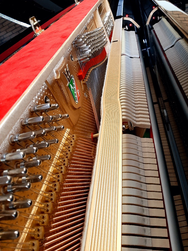 Petrof model P 118 P1 - Afbeelding 4